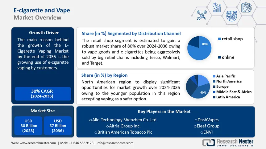 E-cigarette and Vape Market Overview